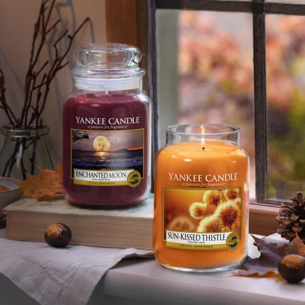 Yankee Candle LIMITED EDITION Sun-Kissed Thistle Large Jar Extra Image 1